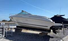 Sea Ray 215 Express Cruiser - picture 3