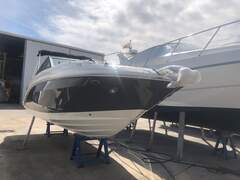 Sea Ray 250 SDX - picture 8