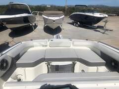 Sea Ray 250 SDX - picture 8