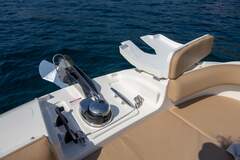 Sea Ray 250 SDX - picture 3