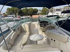 Sea Ray 240 Sundeck - picture 2