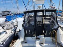 Luhrs 340 - picture 7