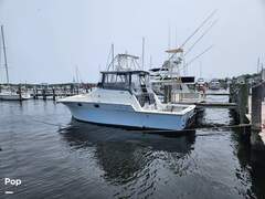Luhrs 340 - picture 4
