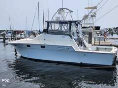 Luhrs 340 - image 5