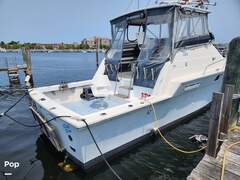Luhrs 340 - image 3