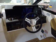 Sea Ray 250 SDXE - picture 3
