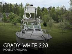 Grady-White 228 Seafarer - billede 1