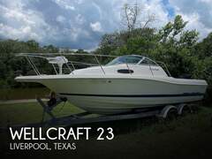 Wellcraft Excel 23 Fish - picture 1