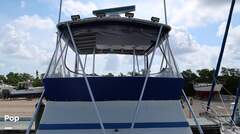 Viking 35 Convertible - picture 2