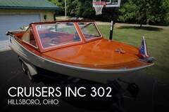 Cruisers 302 - resim 1
