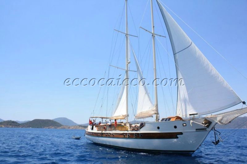 Gulet Caicco ECO 276 - picture 2