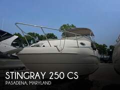 Stingray 250 CS - billede 1