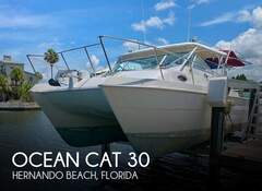 Ocean Cat 30 - picture 1