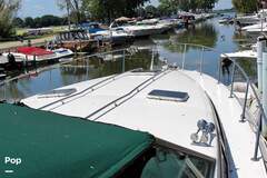 Sea Ray 390 Express Cruiser - picture 6