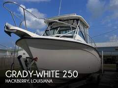 Grady-White 250 Dolphin - фото 1