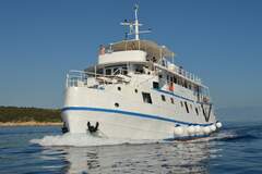 Tugboat Motor Yacht - picture 1