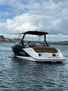 Scarab 255 - picture 10