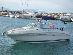 Sea Ray 225 Weekender - picture 1