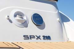Sea Ray SPX 210 (MY2023) - resim 10