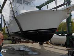 Luhrs 34 - image 3