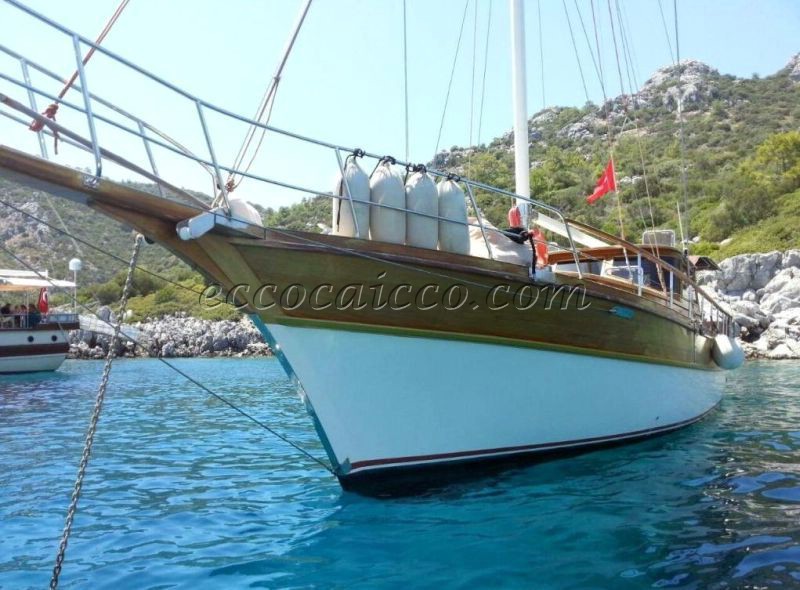 Gulet Caicco ECO 446 - picture 2