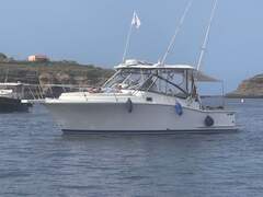 Luhrs 31 - picture 1