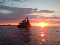 Fishing BOAT ROS Carceller - immagine 3