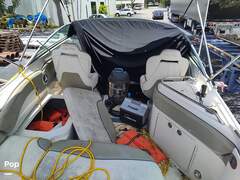 Sea Ray 260 Sundeck - picture 5