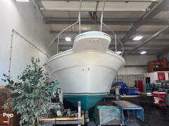 Sea Ray 310 Express Cruiser - picture 9
