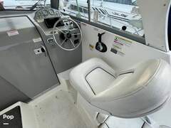 Bayliner 266 Discovery - фото 3