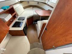 Bayliner 266 Discovery - picture 7