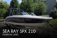 Sea Ray SPX 210 - billede 1