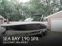 Sea Ray 190 SPX - resim 1
