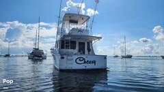 Hatteras Convertible - picture 8