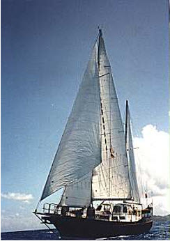 Jackson Yacht - billede 3