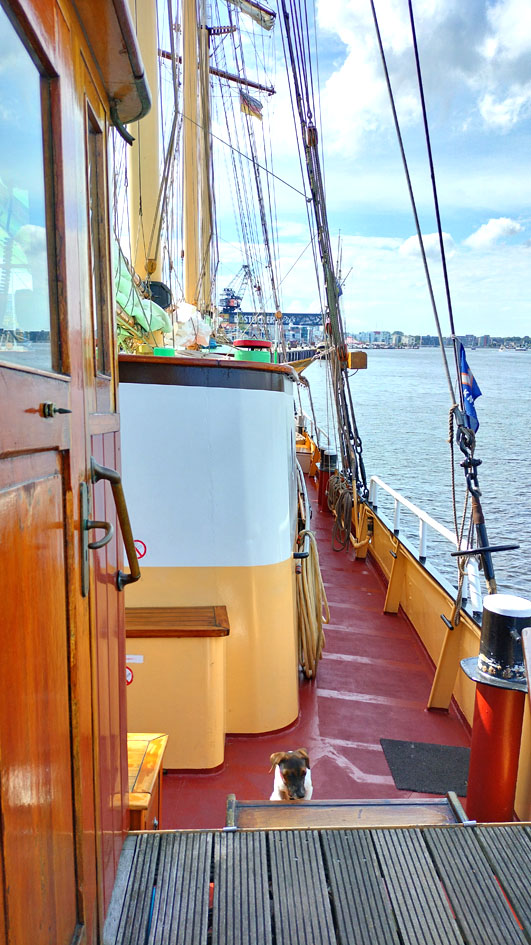 Zeegaand Charterschip Swaensborgh - resim 2