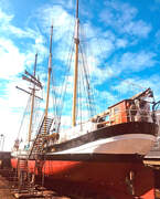Zeegaand Charterschip Swaensborgh - Bild 8