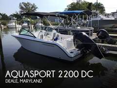 Aquasport 220 DC - image 1