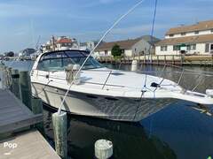 Sea Ray 370 Express Cruiser - picture 3