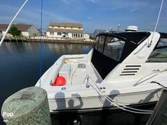 Sea Ray 370 Express Cruiser - picture 9