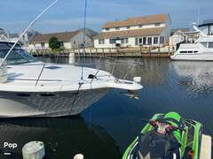 Sea Ray 370 Express Cruiser - picture 4