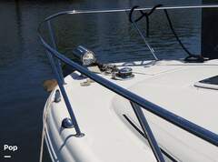 Sea Ray 290 Amberjack - picture 9