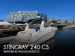Stingray 240 CS - Bild 1