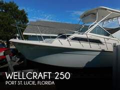 Wellcraft 250 Coastal - resim 1