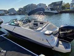 Sea Ray 240 Sundeck - picture 7