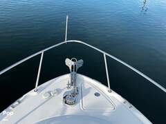 Sea Ray 290 Amberjack - picture 5