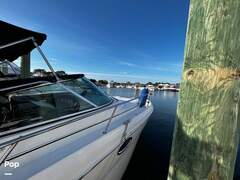 Sea Ray 290 Amberjack - picture 10