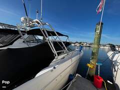Sea Ray 290 Amberjack - picture 8