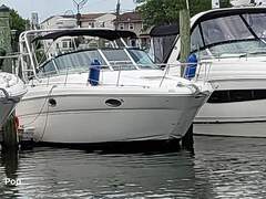 Sea Ray 290 Amberjack - picture 1