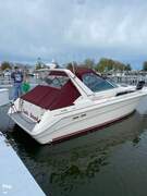 Sea Ray 330 Express Cruiser - picture 3